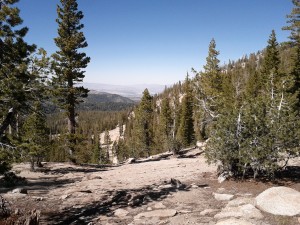 The view North, down the slope