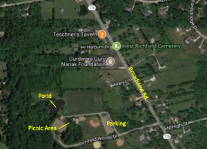 Aerial photo of the activation site, with pond, picnic area, and parking locations labelled